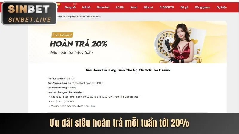 Các chương trình khuyến mãi N666 độc quyền cho thành viên mới
